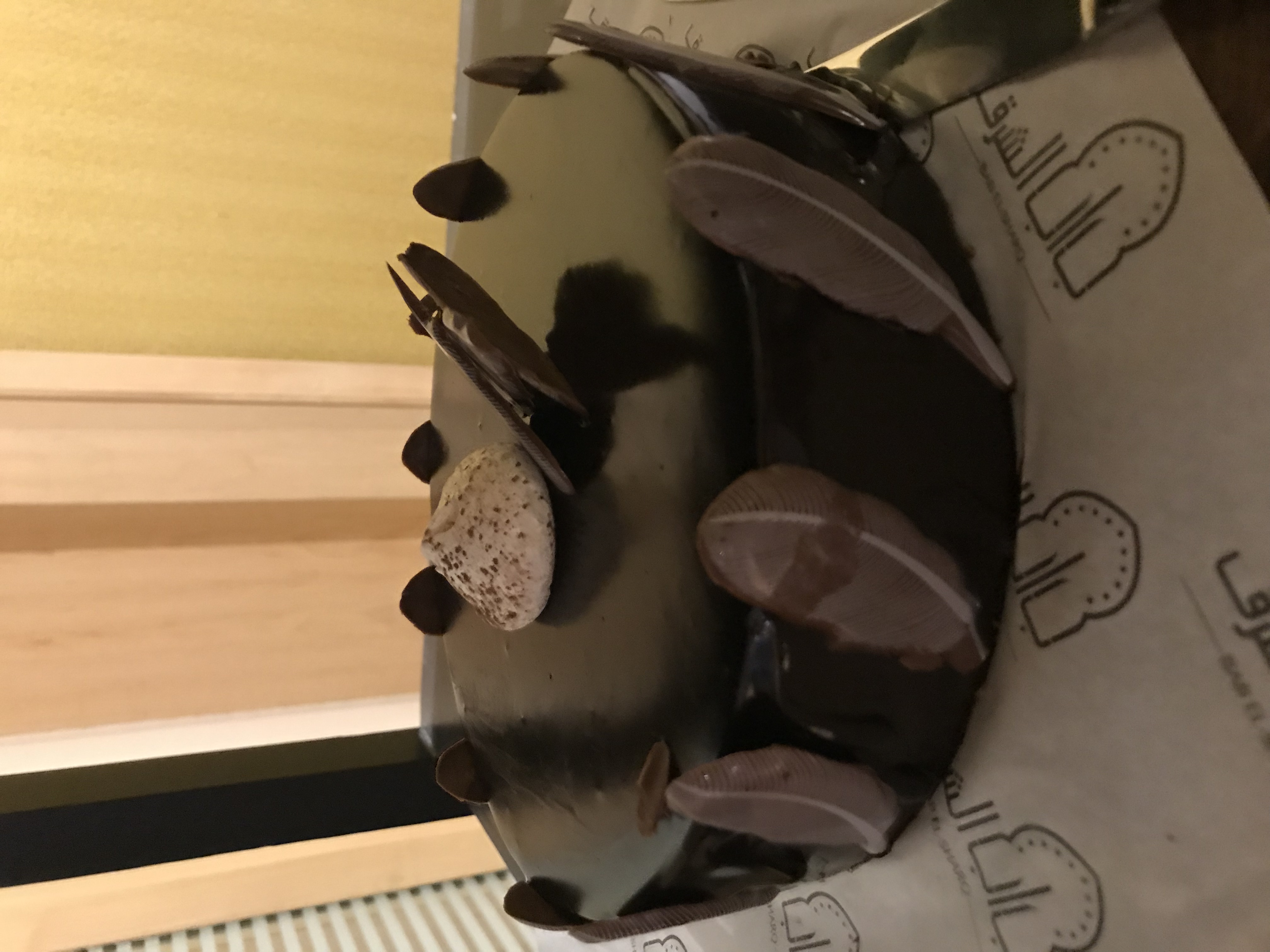 ./2018/16 - Egypt/03 - Pyramids/IMG_1094.jpg